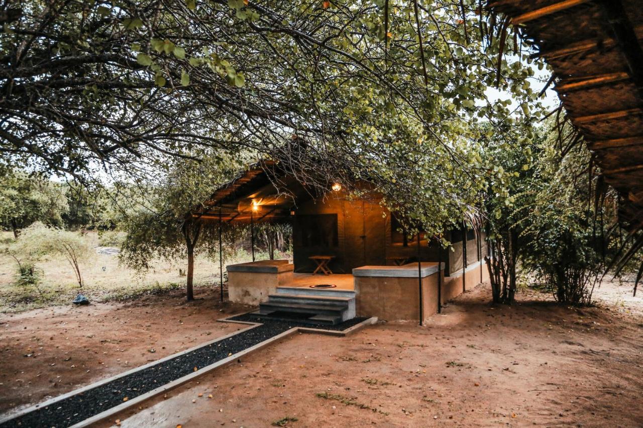 Yala Wild Hut - Yala Hotel Tissamaharama Exterior photo