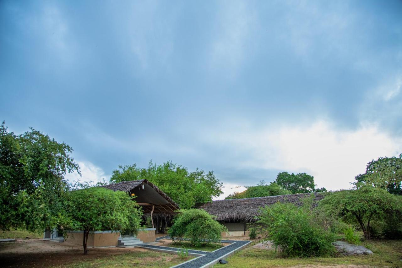 Yala Wild Hut - Yala Hotel Tissamaharama Exterior photo