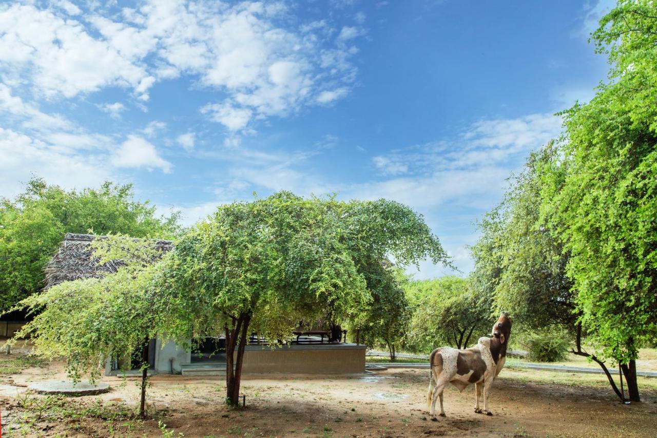 Yala Wild Hut - Yala Hotel Tissamaharama Exterior photo