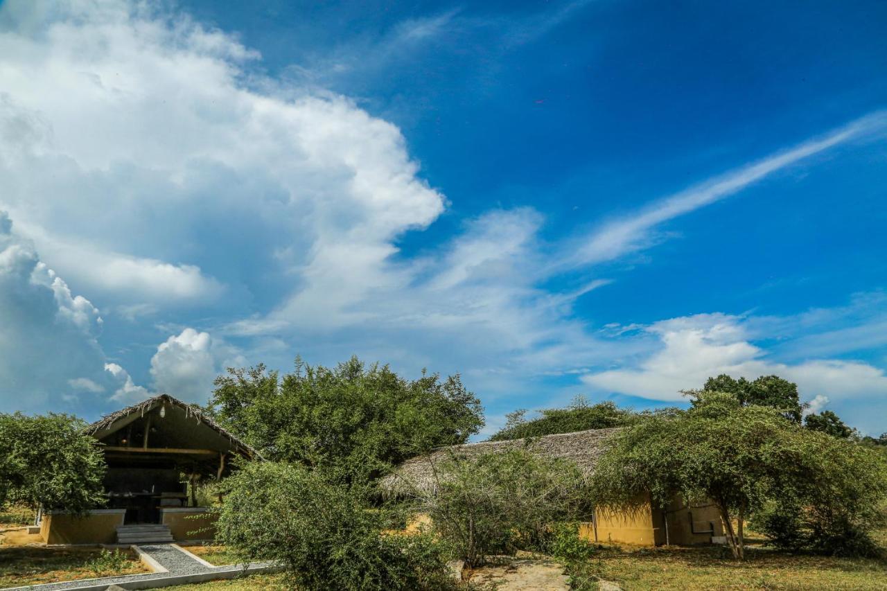 Yala Wild Hut - Yala Hotel Tissamaharama Exterior photo